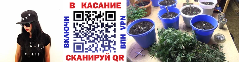 Какие есть наркотики Сим Alpha PVP  Меф  Канабис  КОКАИН 