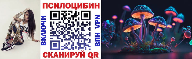 наркошоп  Сим  Псилоцибиновые грибы мицелий 